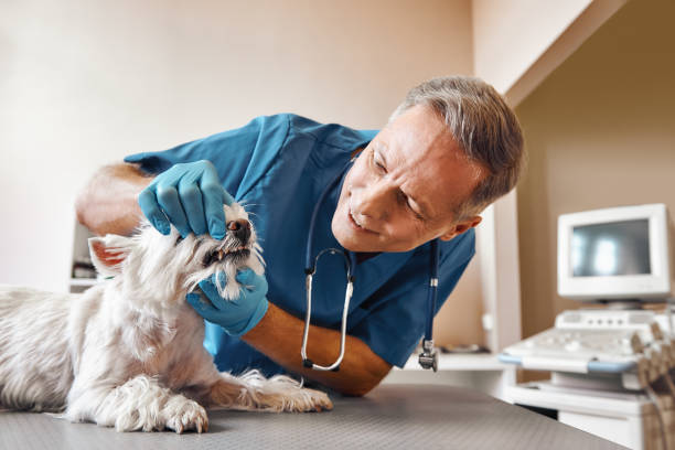 Best After-Hours Dental Care in Fort Irwin, CA